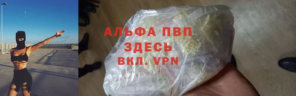 крисы Богородск