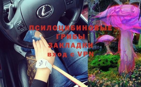 молекула духа Беломорск