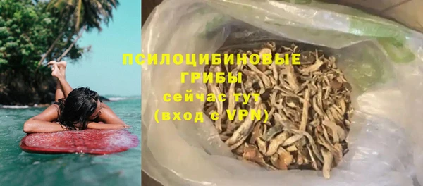 2c-b Белокуриха