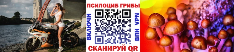 Псилоцибиновые грибы прущие грибы  Купить где  Мантурово 